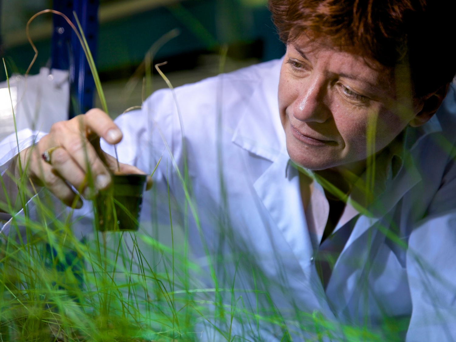 Crusoé anti-moustique, une innovation brevetée très efficace contre les moustiques issue de la recherche scientifique.