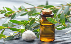 Les huiles essentielles anti-moustiques sont-elles efficaces ? Analyse et Explications
