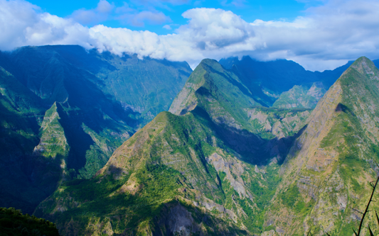 Protégez-vous des moustiques à la Réunion - Le guide complet - Crusoé Moustique