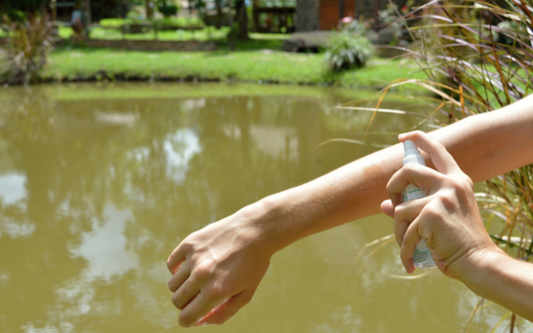 QUEL EST LE MEILLEUR ANTI-MOUSTIQUE NATUREL ET EFFICACE ?