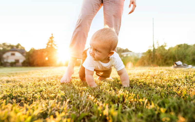 Piqûres de moustiques chez bébé : comment les soulager et les prévenir ? Crusoé Moustique